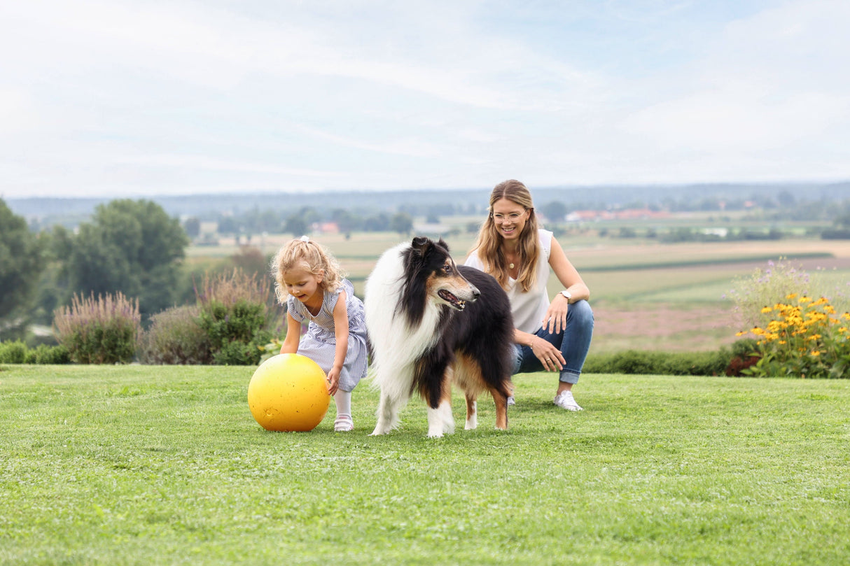 Kerbl Artikel 82274 im Online Shop kaufen