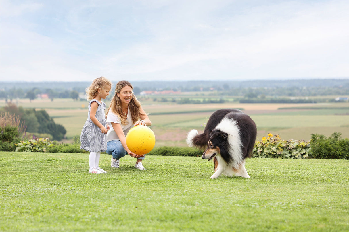 Kerbl Artikel 82274 im Online Shop kaufen