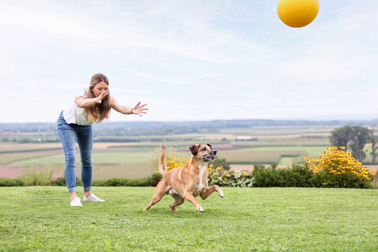 Kerbl Artikel 82274 im Online Shop kaufen