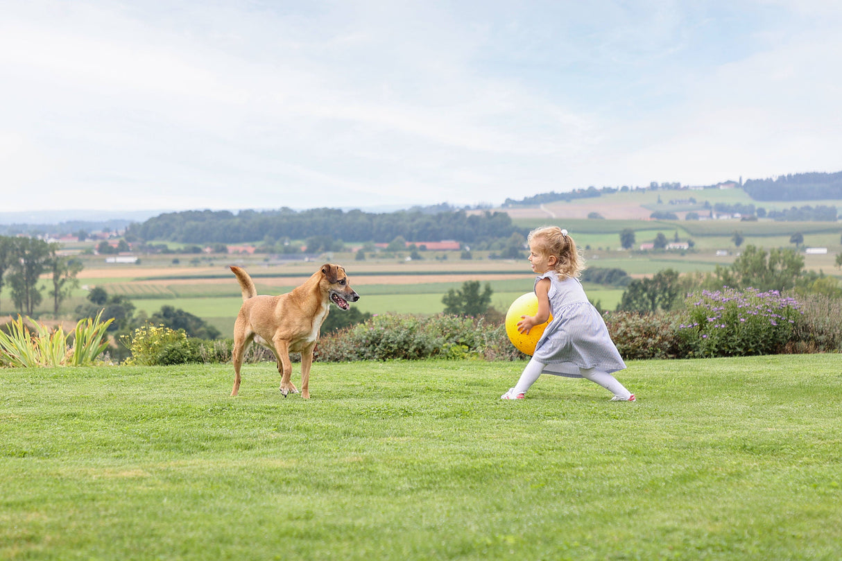 Kerbl Artikel 82274 im Online Shop kaufen