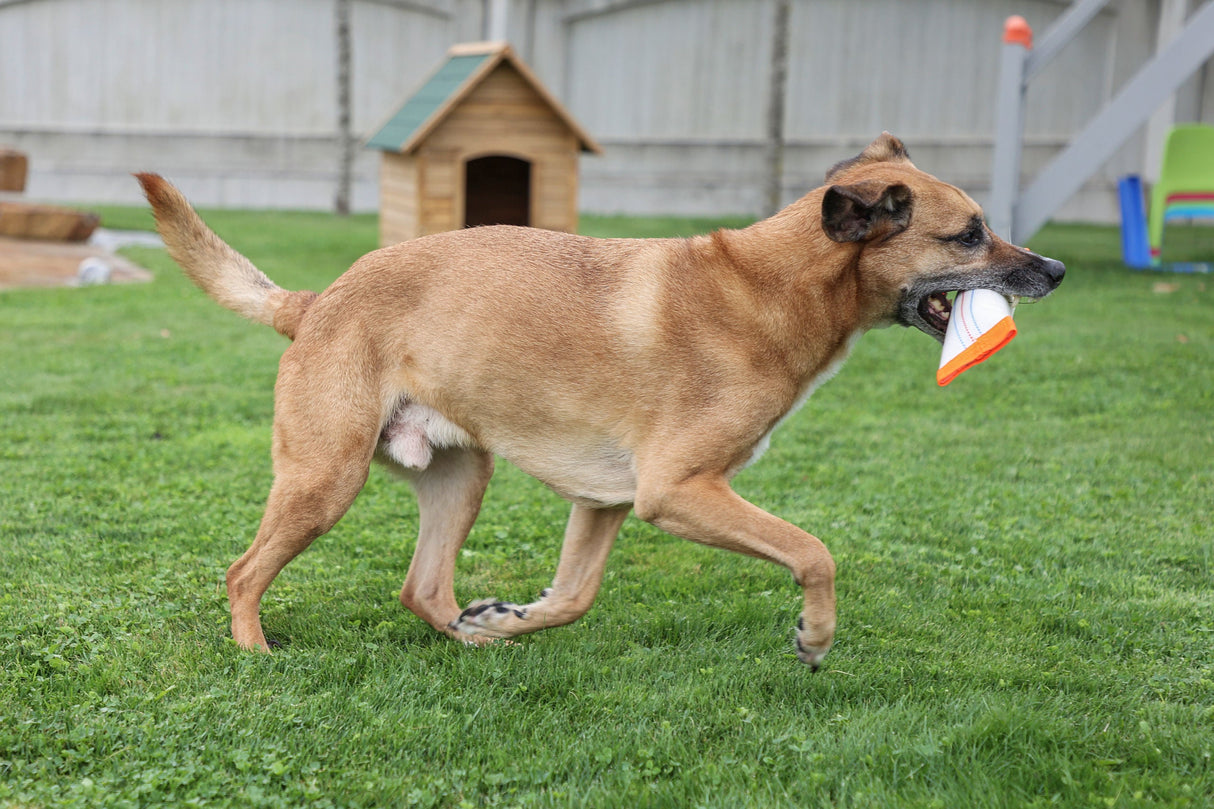 Kerbl Artikel 80774 im Online Shop kaufen