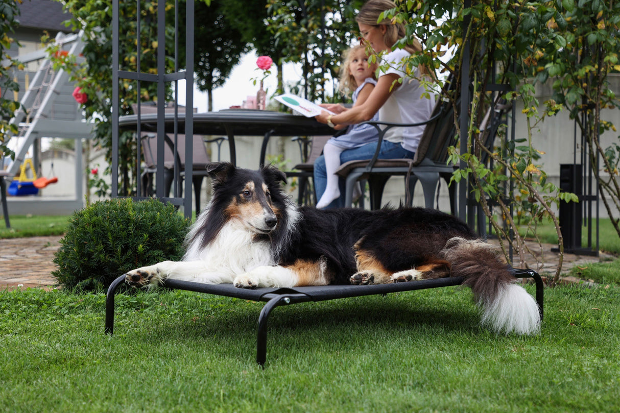 Kerbl Artikel 80344 im Online Shop kaufen