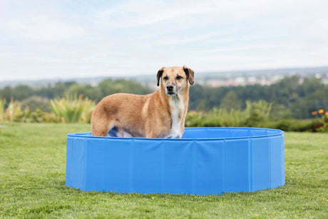 Kerbl Artikel 82398 im Online Shop kaufen