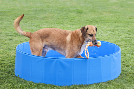 Kerbl Artikel 82398 im Online Shop kaufen