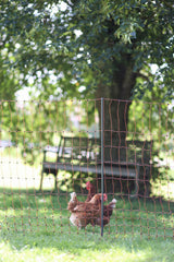 Kerbl Ersatzpfahl grau PA 106cm - Doppelspitze - 292401