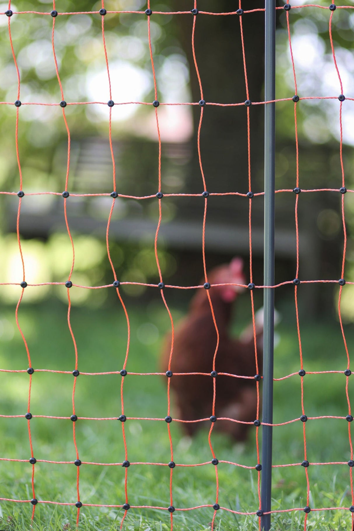 Kerbl Ersatzpfahl grau PA 106cm - Doppelspitze - 292401