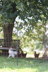 Kerbl Ersatzpfahl grau PA 106cm - Doppelspitze - 292401