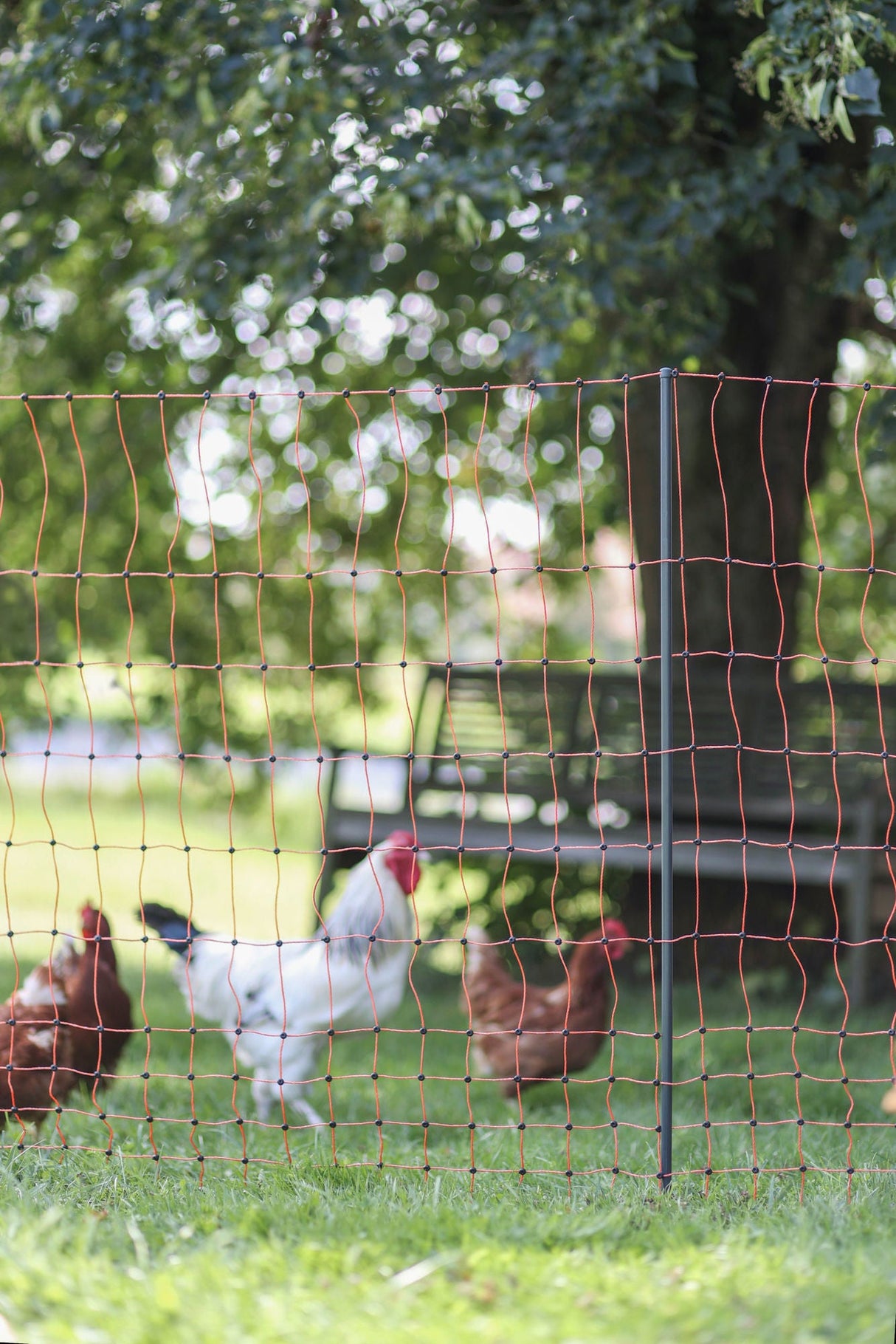 Kerbl Ersatzpfahl grau PA 106cm - Doppelspitze - 292401