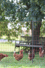 Kerbl Ersatzpfahl grau PA 106cm - Doppelspitze - 292401