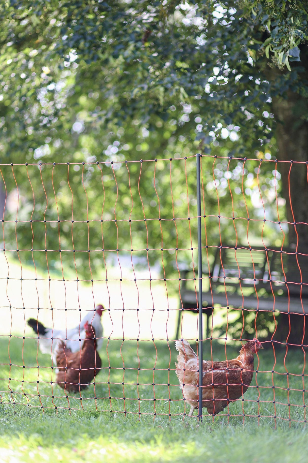 Kerbl Ersatzpfahl grau PA 106cm - Doppelspitze - 292401