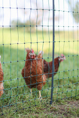 Kerbl Ersatzpfahl grau PA 106cm - Doppelspitze - 292401