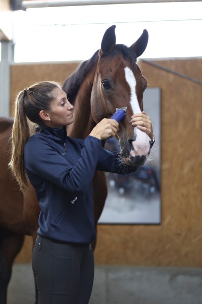 Aesculap Akkuschermaschine Durati Horse mit 1 Akku - GT444-NB