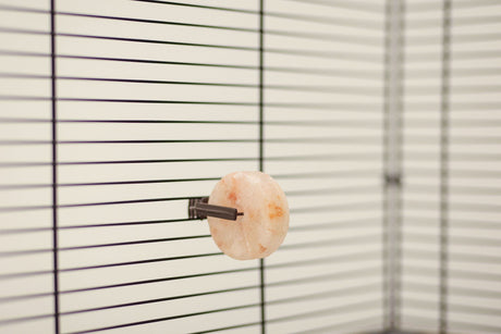 Kerbl Leckstein aus Bergkristallsalz 80g, Ø5cm, inklusive Halter 82879