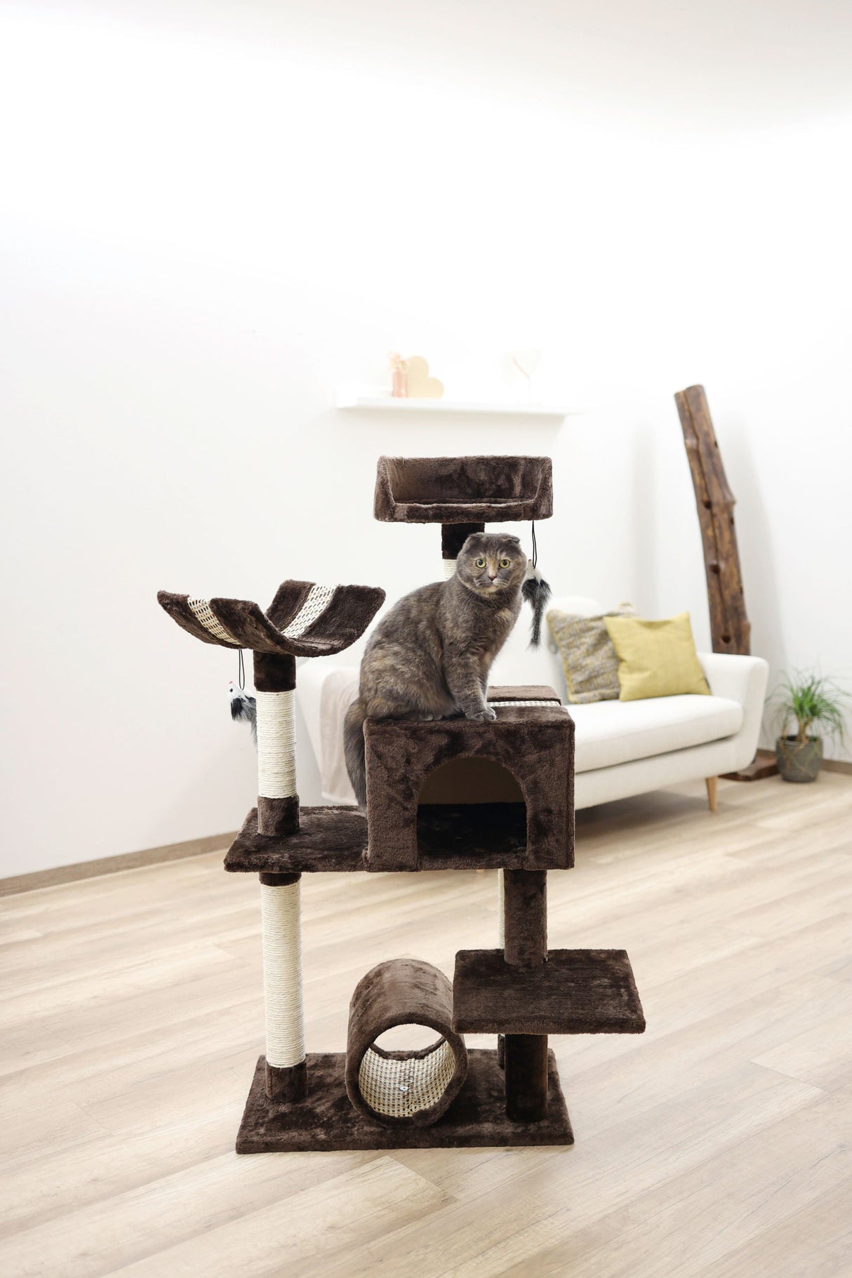 Kerbl Artikel 81589 im Online Shop kaufen