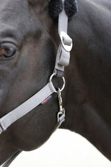 Kerbl Halfter ClassicSoft stone, Gr. Shetty 3224758