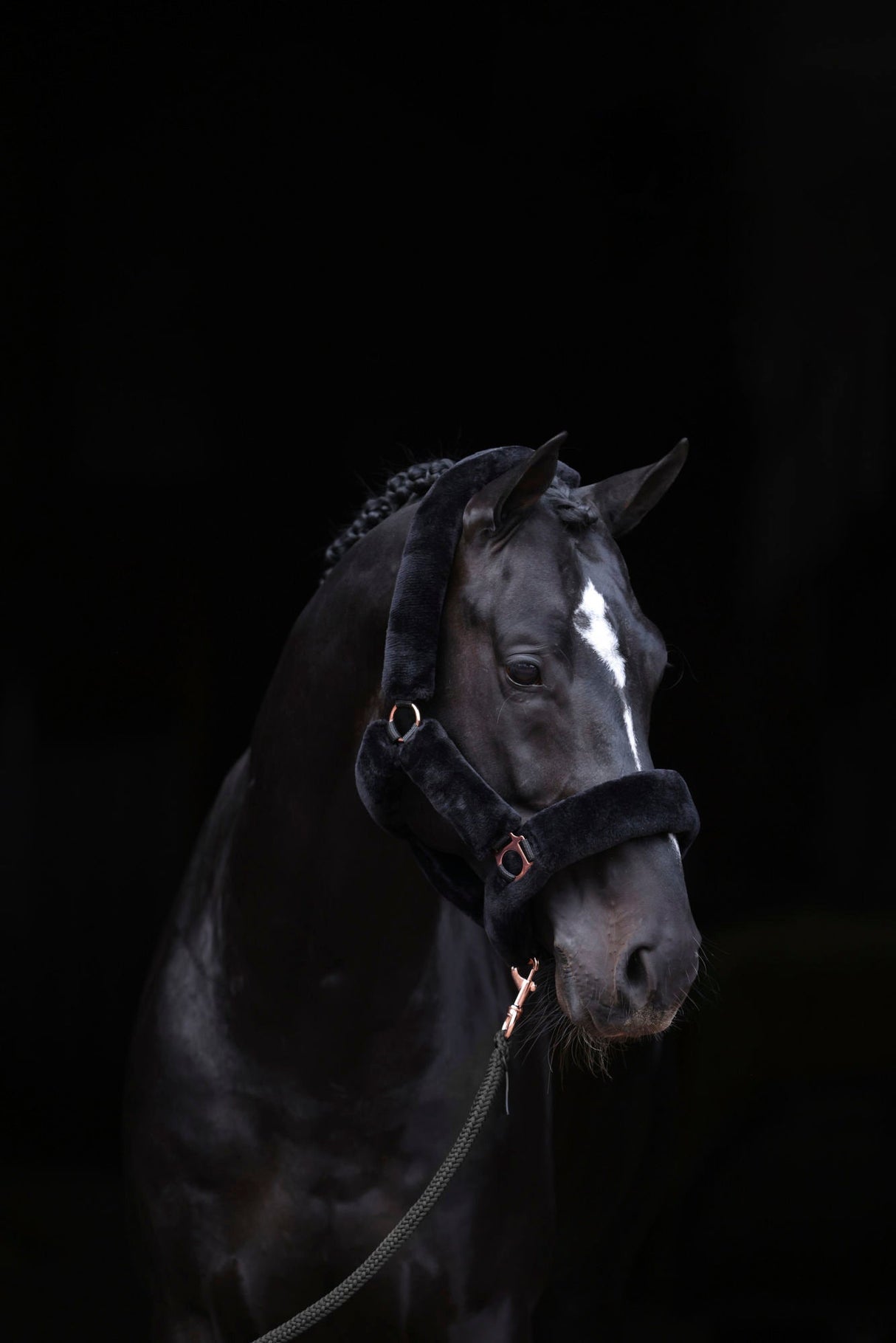 Kerbl Halfter SuperSoft, black, Pony 3224638