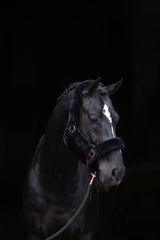 Kerbl Halfter SuperSoft, black, Pony 3224638