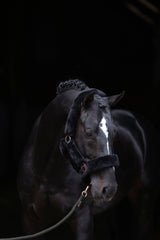 Kerbl Halfter SuperSoft, black, Pony 3224638