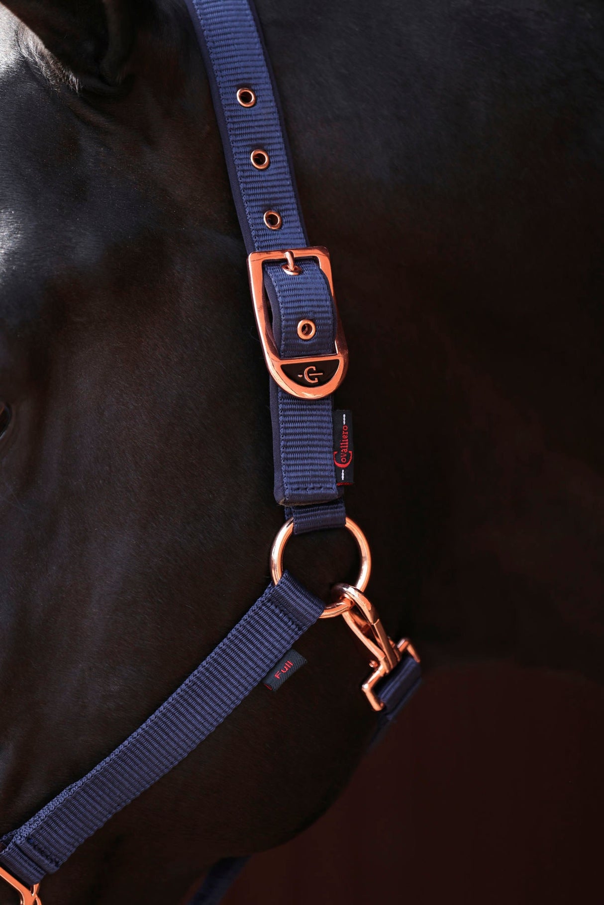 Kerbl Halfter Classy, navy Gr. Shetty 3224729