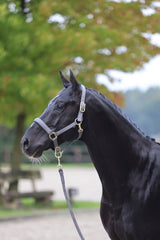 Kerbl Halfter Classy, stone Gr. Shetty 3224733