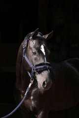 Kerbl Halfter ClassicSoft navy, Gr. Shetty 3224750