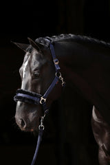 Kerbl Halfter ClassicSoft navy, Gr. Shetty 3224750