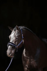 Kerbl Halfter ClassicSoft navy, Gr. Shetty 3224750