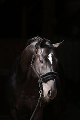 Kerbl Halfter ClassicSoft black, Gr. Shetty 3224754