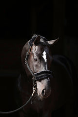 Kerbl Halfter ClassicSoft black, Gr. Shetty 3224754