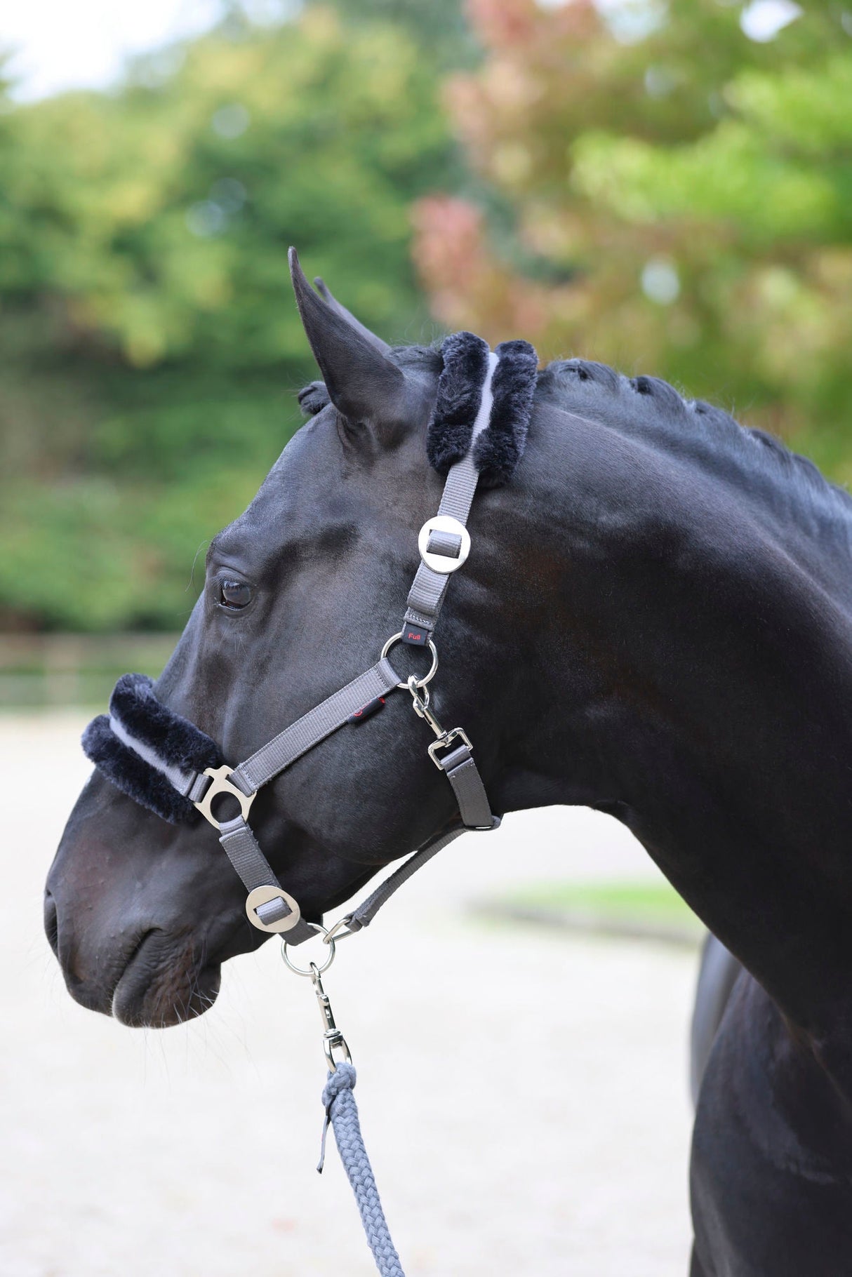 Kerbl Halfter ClassicSoft stone, Gr. Shetty 3224758