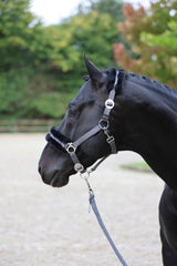 Kerbl Halfter ClassicSoft stone, Gr. Shetty 3224758