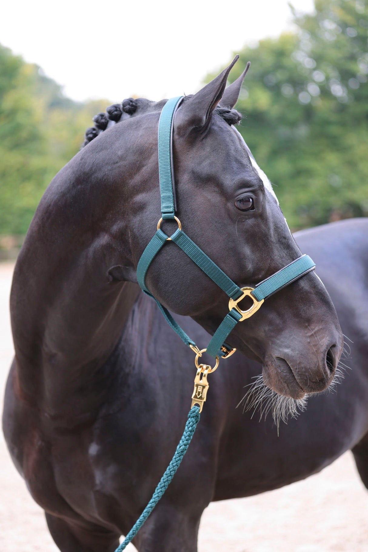 Kerbl Halfter TopLine, forest, Pony 3224619