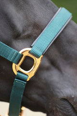 Kerbl Halfter TopLine, forest, Pony 3224619