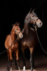 Kerbl Halfter TopLine, black, Pony 3224615