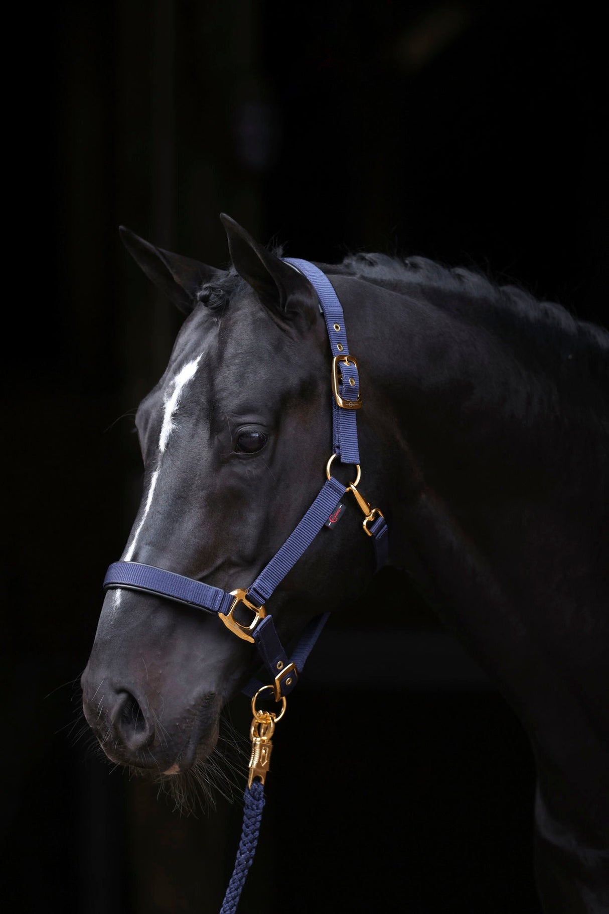 Kerbl Halfter TopLine, navy, Pony 3224611