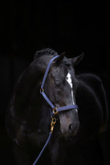 Kerbl Halfter TopLine, navy, Pony 3224611