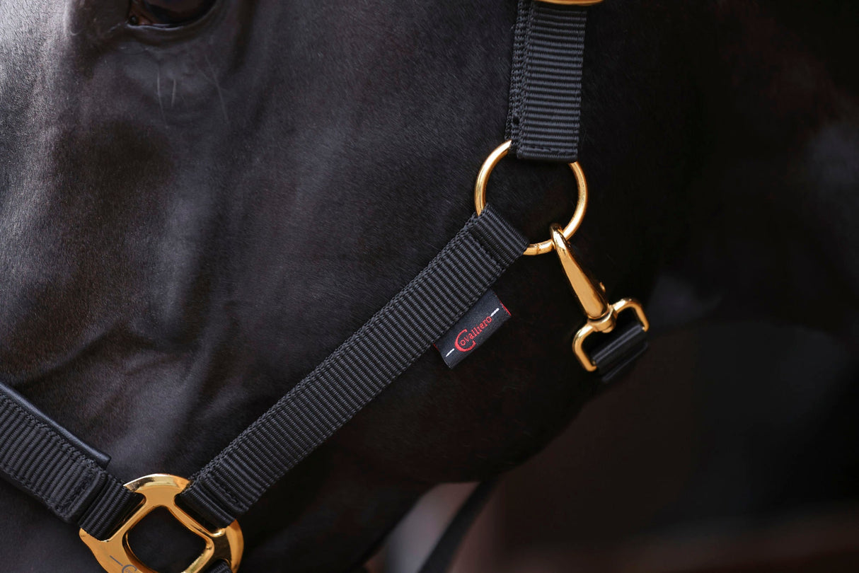 Kerbl Halfter TopLine, black, Pony 3224615