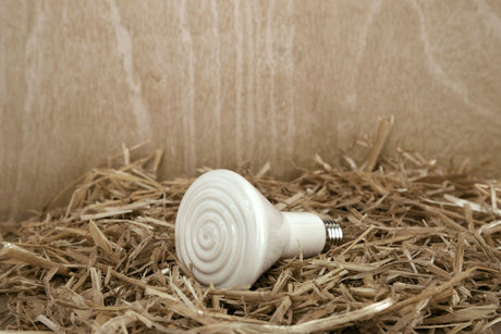 Kerbl Keramik-Dunkelstrahler 250W 225287