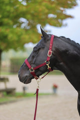 Kerbl Halfter Classy, merlot Gr. Shetty 3224737