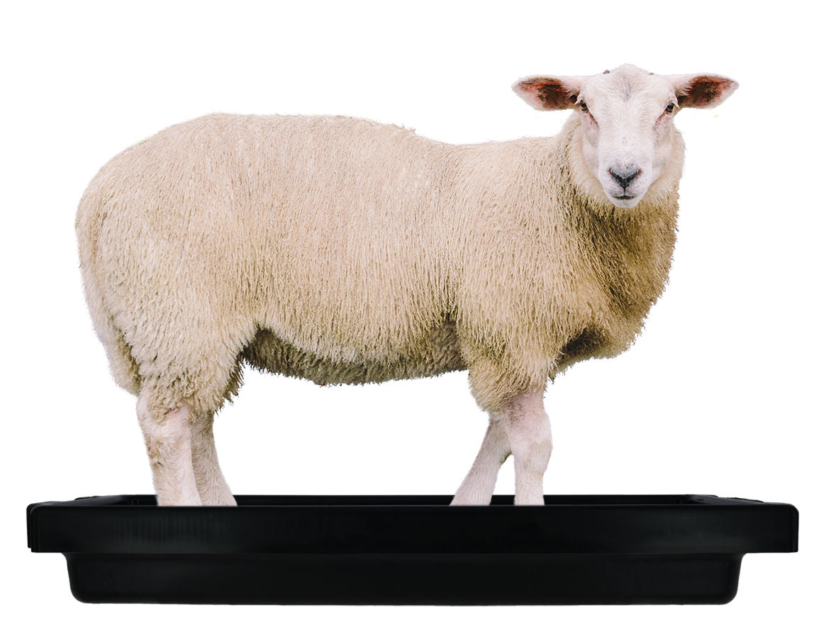 Kerbl Artikel 16610 im Online Shop kaufen
