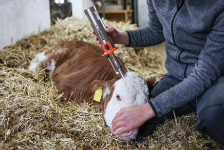 Kerbl Heißluftenthorner AirBuddex - 1766