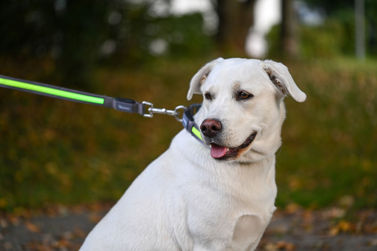 Kerbl Artikel 80027 im Online Shop kaufen