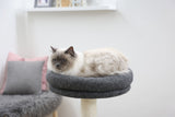 Kerbl Artikel 81535 im Online Shop kaufen