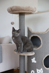 Kerbl Artikel 81620 im Online Shop kaufen