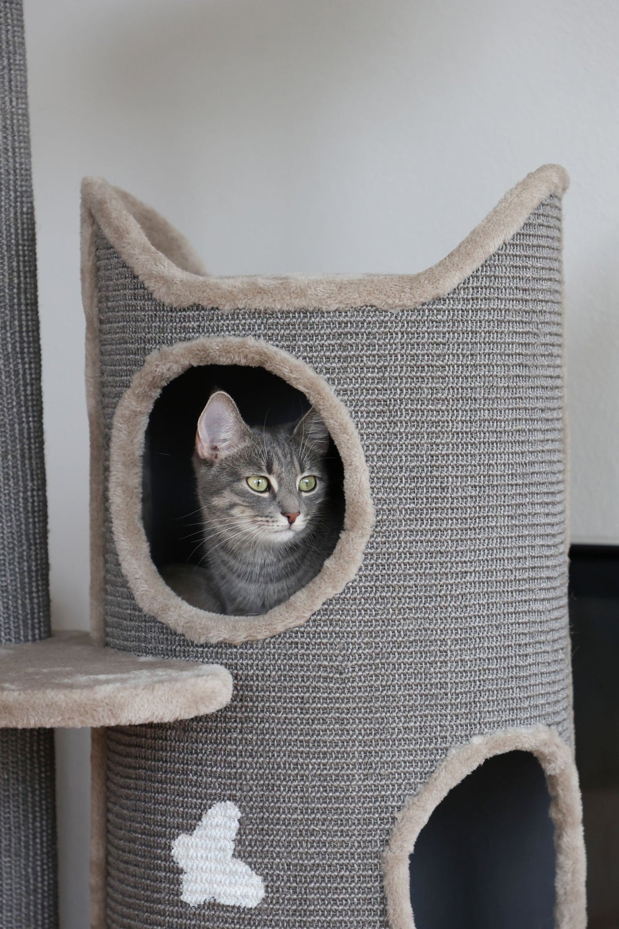 Kerbl Artikel 81620 im Online Shop kaufen