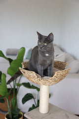 Kerbl Artikel 81592 im Online Shop kaufen