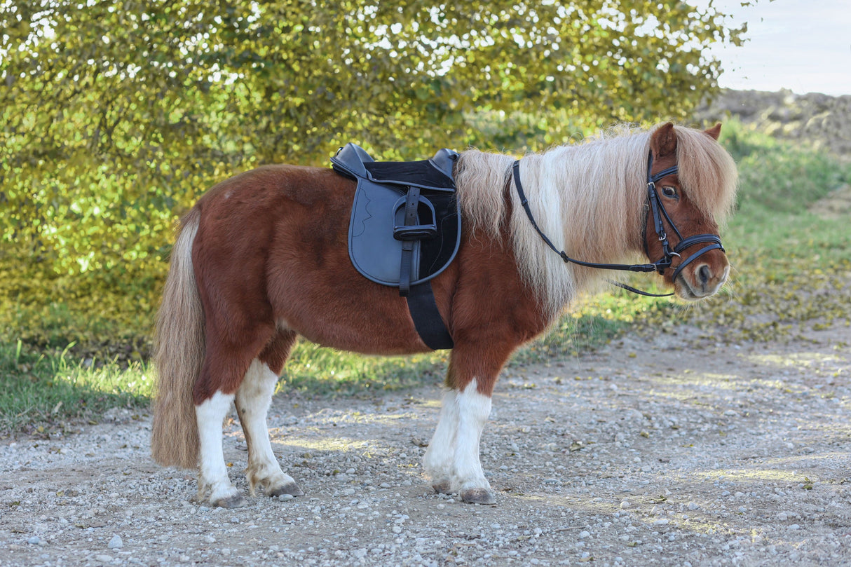 Kerbl Artikel 325415 im Online Shop kaufen