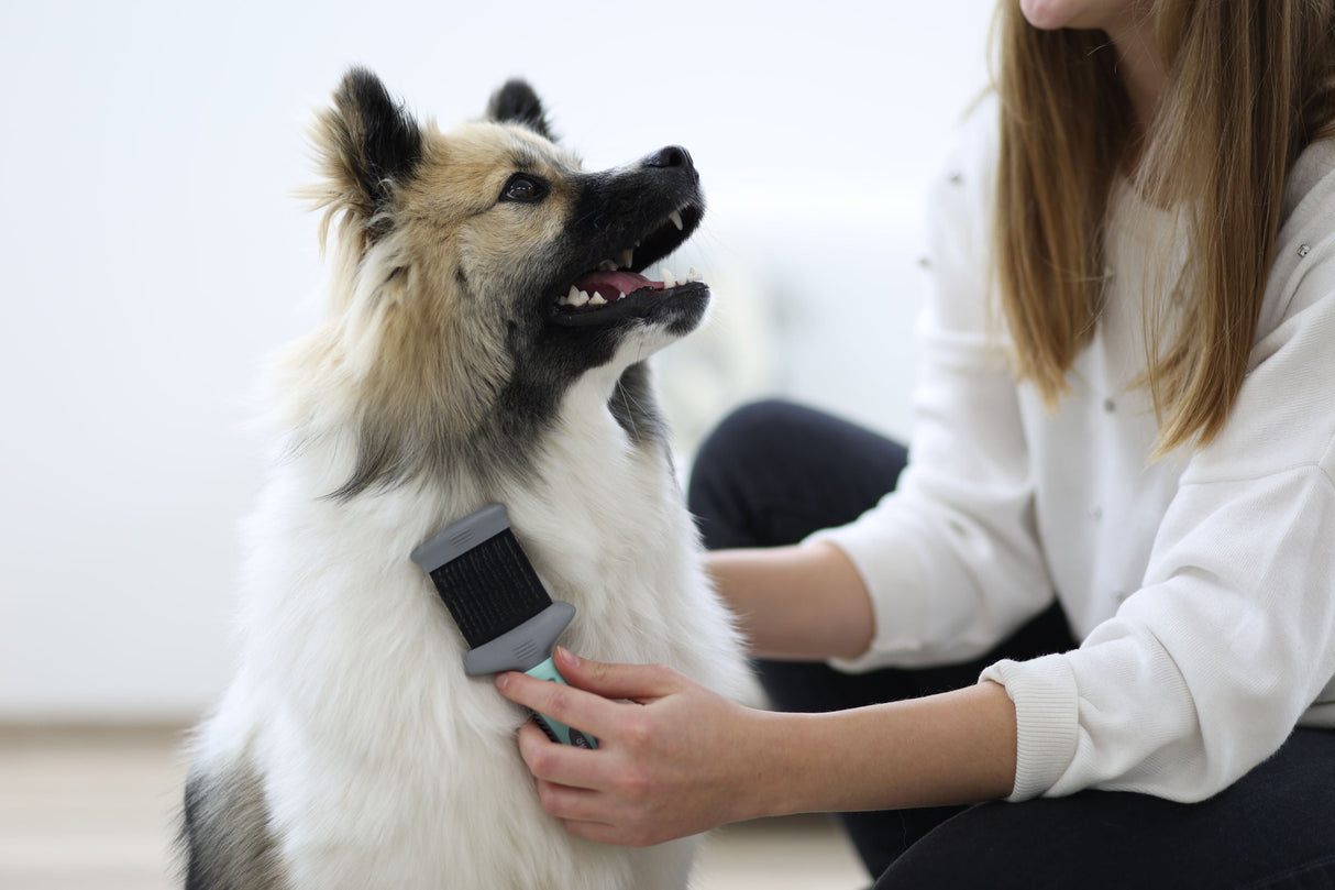 Kerbl Artikel 80056 im Online Shop kaufen