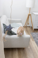 Kerbl Artikel 80996 im Online Shop kaufen