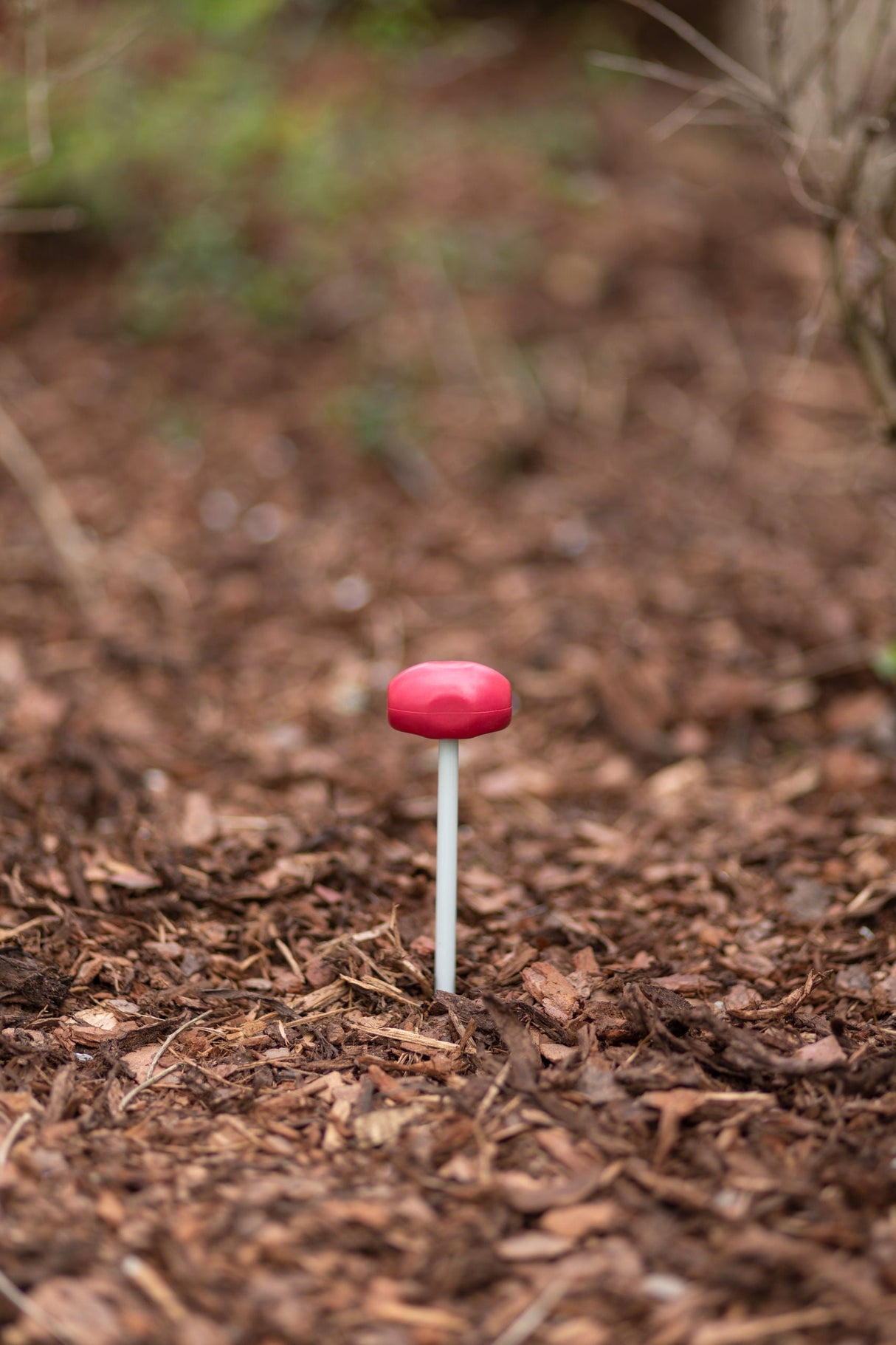 Kerbl Artikel 299836 im Online Shop kaufen